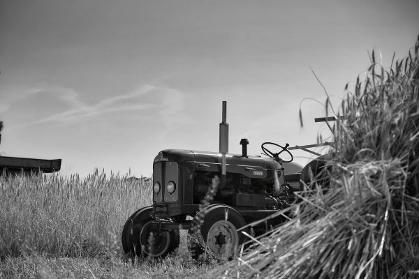 How Data Science Can Revolutionize the Agriculture Sector?