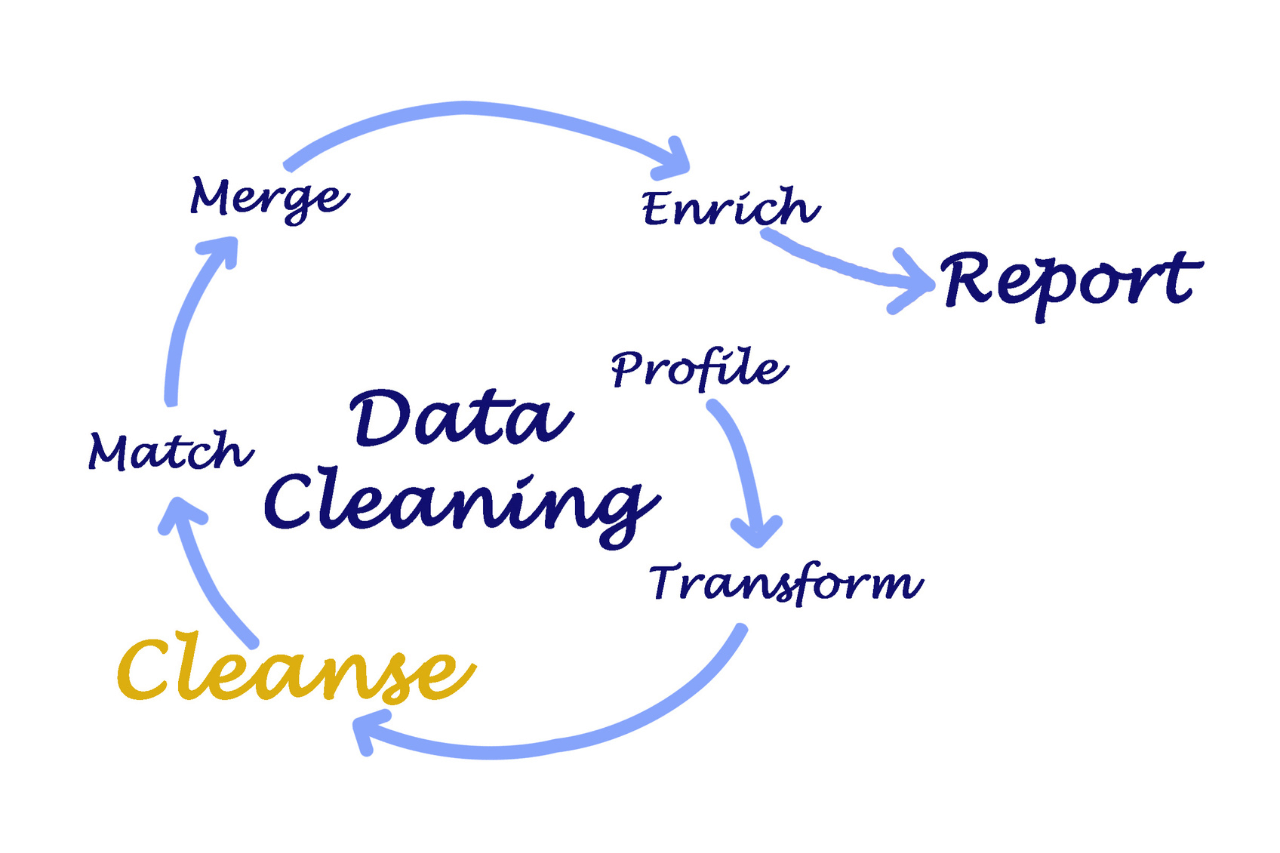 Data Cleaning With Python