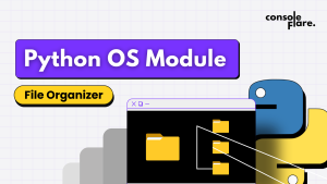 10 Simple Steps to Automate File Management with Python