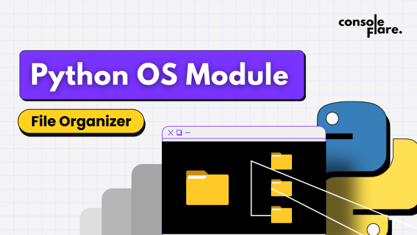 Files Oragnizer with Python: A Step-by-Step Guide to Automate File Management(10 steps)