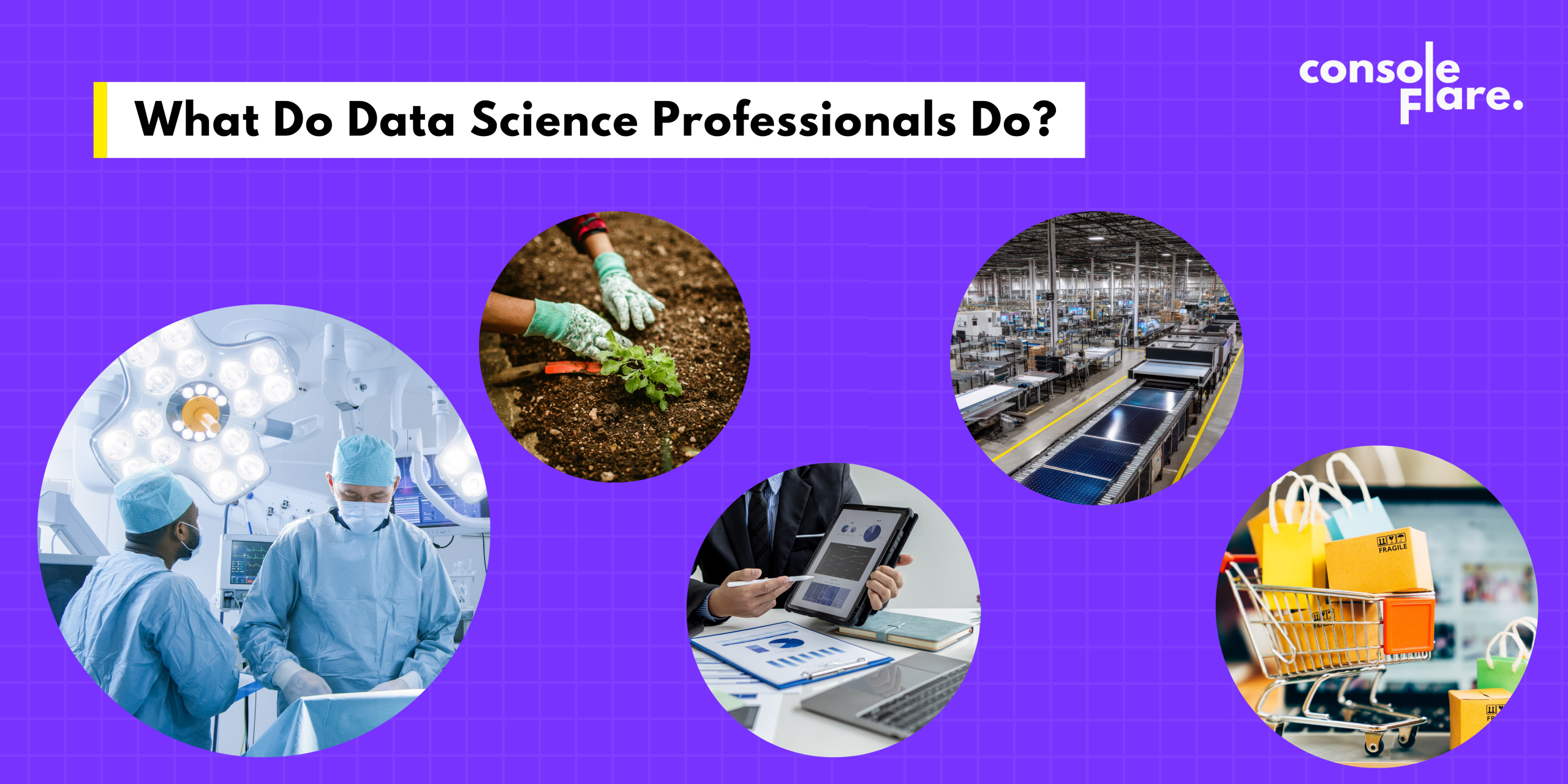Data Science professionals working across healthcare, agriculture, finance, and retail industries