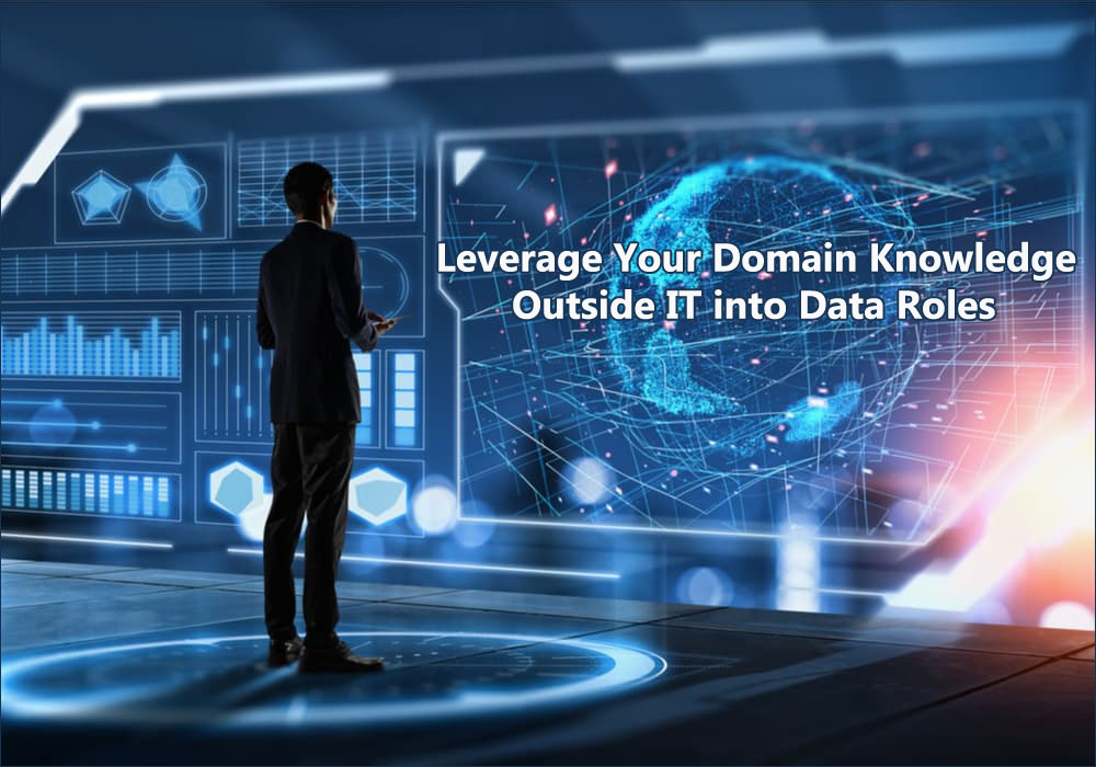 Leverage Domain Knowledge into Data Roles Without Starting from Zero